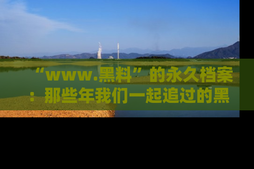 “www.黑料”的永久档案:那些年我们一起追过的黑料真相