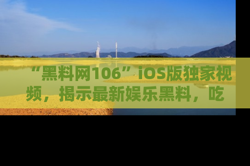 “黑料网106”iOS版独家视频,揭示最新娱乐黑料,吃瓜不停!
