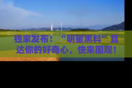 独家发布！“明星黑料”直达你的好奇心，快来围观！