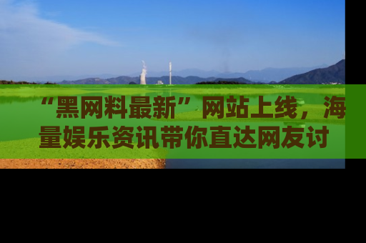 “黑网料最新”网站上线,海量娱乐资讯带你直达网友讨论的中心!