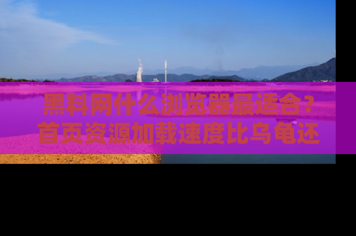 黑料网什么浏览器最适合？首页资源加载速度比乌龟还慢的体验真心吐槽！