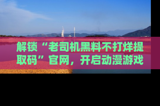 解锁“老司机黑料不打烊提取码”官网，开启动漫游戏的新次元之旅！