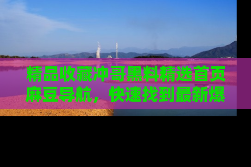 精品收藏冲哥黑料精选首页麻豆导航,快速找到最新爆料