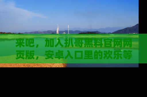 来吧，加入扒哥黑料官网网页版，安卓入口里的欢乐等着你！