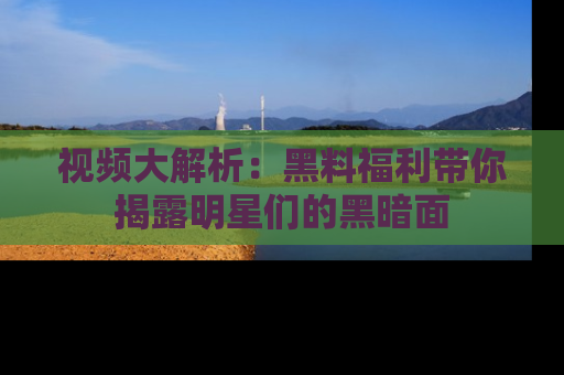 视频大解析：黑料福利带你揭露明星们的黑暗面