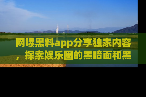 网曝黑料app分享独家内容，探索娱乐圈的黑暗面和黑料