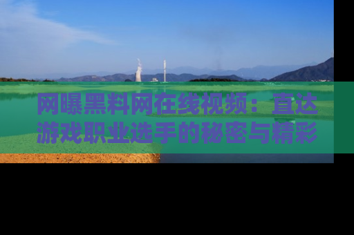 网曝黑料网在线视频：直达游戏职业选手的秘密与精彩动漫片段！