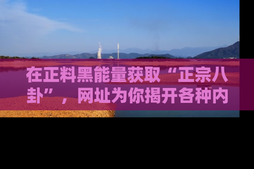 在正料黑能量获取“正宗八卦”,网址为你揭开各种内幕故事!
