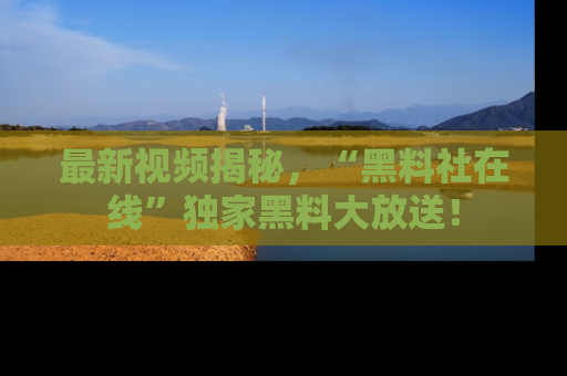 最新视频揭秘,“黑料社在线”独家黑料大放送!